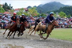 Lao Cai promotes Bac Ha into unique tourism area
