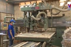 Vietnam strives to be global processing centre of export timber 