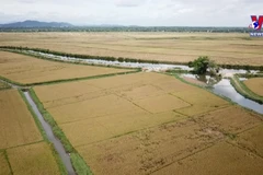 Agriculture sector affirms role in economic development 