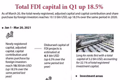 Total FDI capital in Q1 up 18.5%