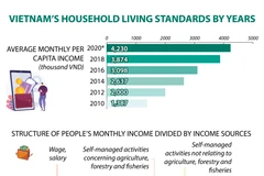 Vietnam's household living standards over years