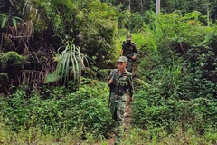 Border guards work to prevent illegal migration amid COVID-19