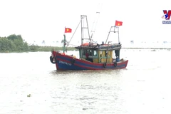 Fisheries sector striving to make EC lift “yellow card”