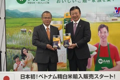  Vietnam’s ST25 rice enters Japanese market