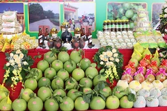 Bac Giang promotes high quality OCOP products