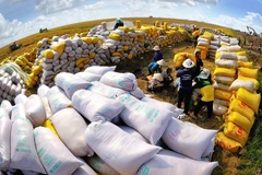 Exports add tens of billions of USD to coffers thanks to FTAs