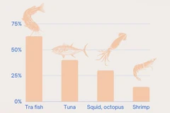 Tra fish exports post strongest growth among fishery products