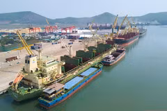 Long Son container port No. 3 expected to bring benefits to Thanh Hoa province