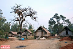Ancient village where M’nong culture is preserved