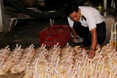 Due attention needed for food safety management