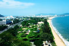 Binh Dinh: WB-funded environment project scrutinised