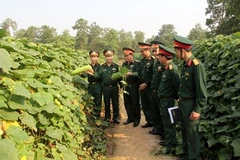 Vietnam, Laos armies exchange security defence experience