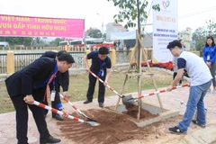 Youths plant trees to show Vietnam-China “forever green” amity