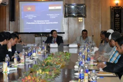 Vietnam promotes investment in Egypt’s Aswan province 