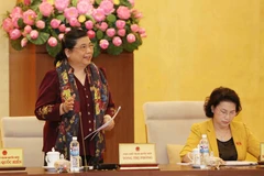 NA Standing Committee outlines supervision, lawmaking plans for 2017