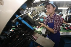 Indian leather industry eyes huge Vietnam's market