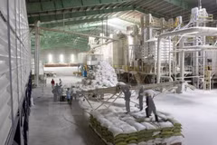 State-owned enterprises equitisation remains slow 