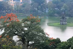 Hanoi through the lens of photographers with love for the capital