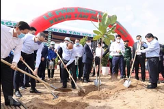 Tree planting festival: Individual trees make a forest