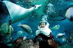 Cu Lao Cham sees increasing number of tourists