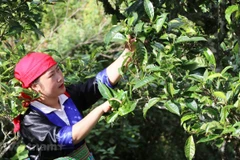 Changing minds helps farmers change lives