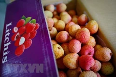 Japan opens door for Vietnamese lychee