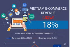 Vietnam e-commerce revenue grows 18 percent in 2020
