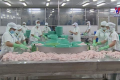Tra fish production, exports surge