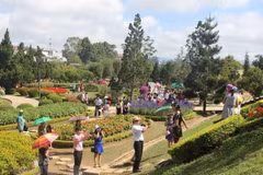 Da Lat Flower Festival to take place in December