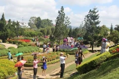 Da Lat Flower Festival to take place in December