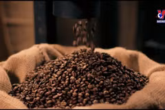 Coffee export turnover exceeds 2 billion USD in five months