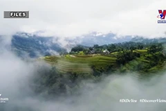Vietnam plans to resume domestic tourism activities soon