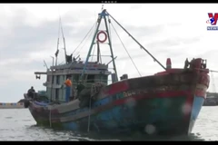 Vietnam works towards responsible, sustainable fishery sector