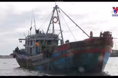 Vietnam works towards responsible, sustainable fishery sector
