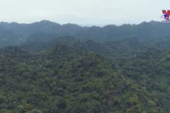 Cuc Phuong named Asia's leading national park