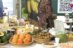 Vietnamese farm produce introduced in Italy