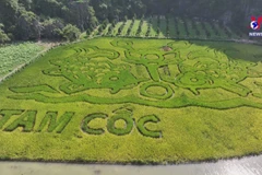 Tourism week opens in Ninh Binh