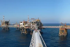 Adjustments needed for oil and gas sector to overcome hardships