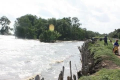 Mekong Delta to face more severe salinity, droughts 