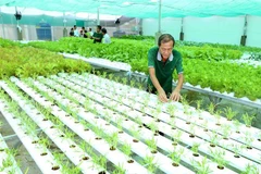 Agriculture sector expands by 2.02 pct in nine months