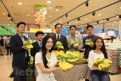 Vietnamese bananas hit shelves of Lotte Mart in RoK