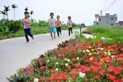Flower roads beautify villages