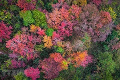 Colourful winter in mountainous province
