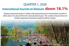 International tourists to Vietnam down 18.1% in Q1