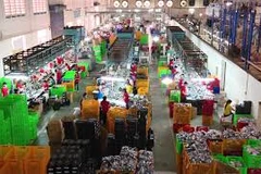 US attracts most Vietnamese investment in three months