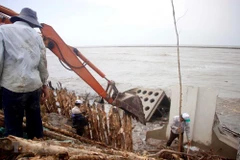 Ca Mau sea dyke at risk of breaching
