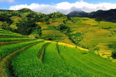 Mu Cang Chai - stunning beauty in northwestern region