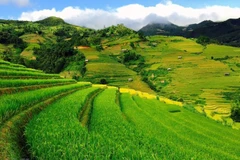 Mu Cang Chai - stunning beauty in northwestern region