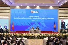 Prompt action needed to seize opportunities, navigate challenges under RCEP