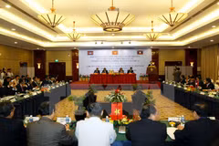 Vietnam, Cambodia, Laos join hands to combat drugs 